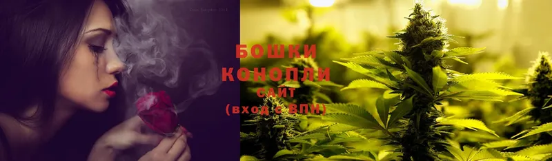 Бошки Шишки SATIVA & INDICA  MEGA зеркало  Сосновка  как найти  